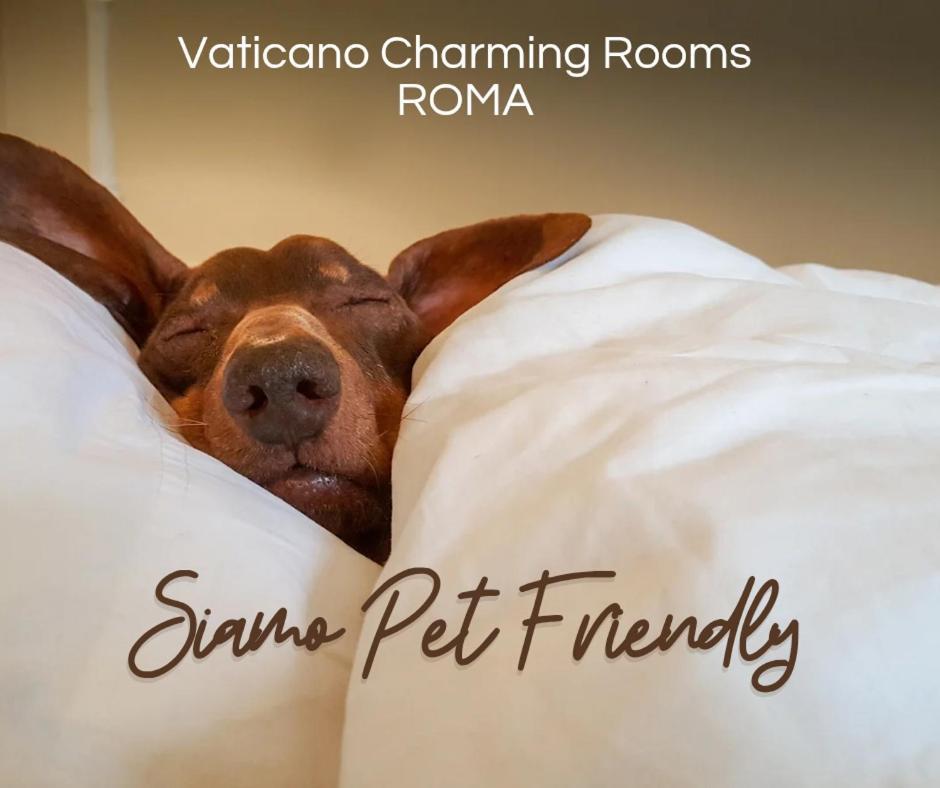 Vaticano Charming Rooms Rzym Zewnętrze zdjęcie